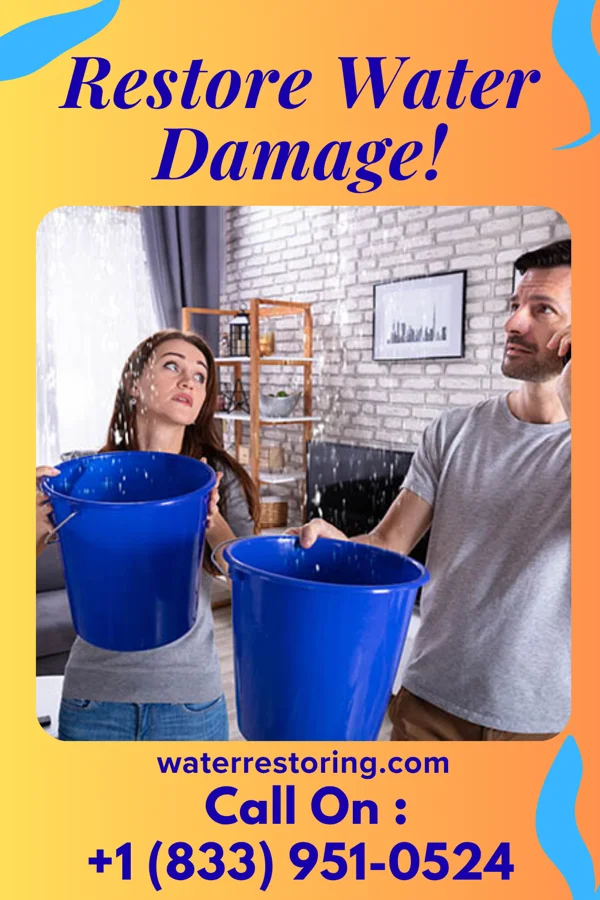 water restoration Pacific Water Repair Services West Dundee