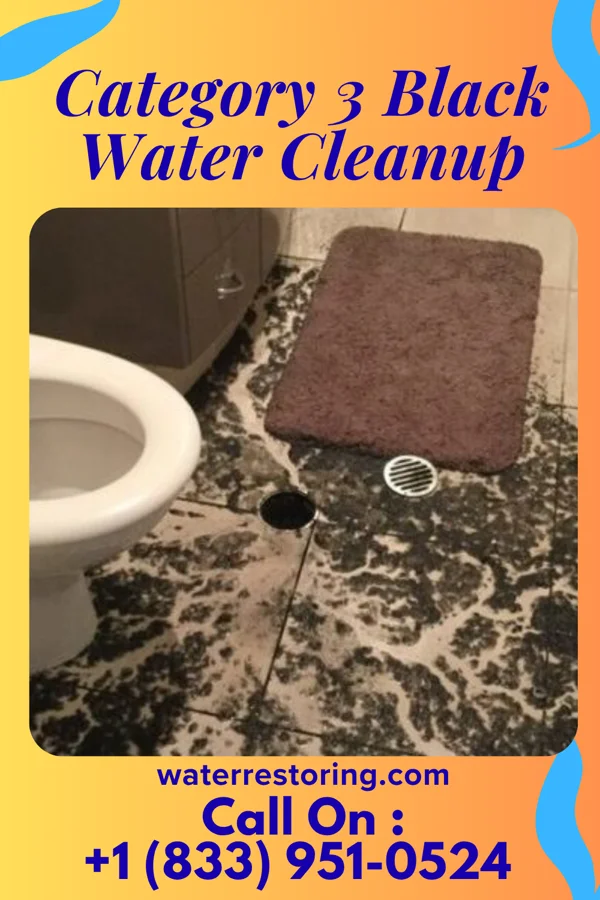 Category 3 Black Water Cleanup in West Dundee, IL