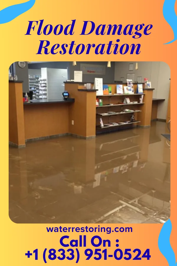 Flood Damage Restoration in West Dundee, IL