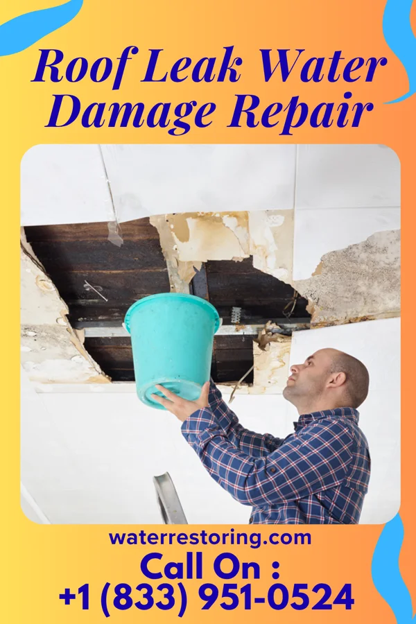 Roof Leak Water Damage Repair in West Dundee, IL
